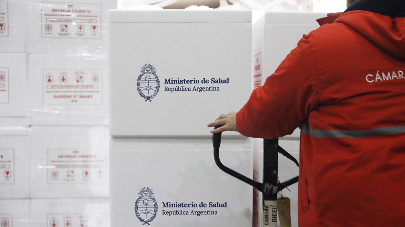 El Ministerio de Salud distribuye vacunas contra el sarampión a todas las jurisdicciones