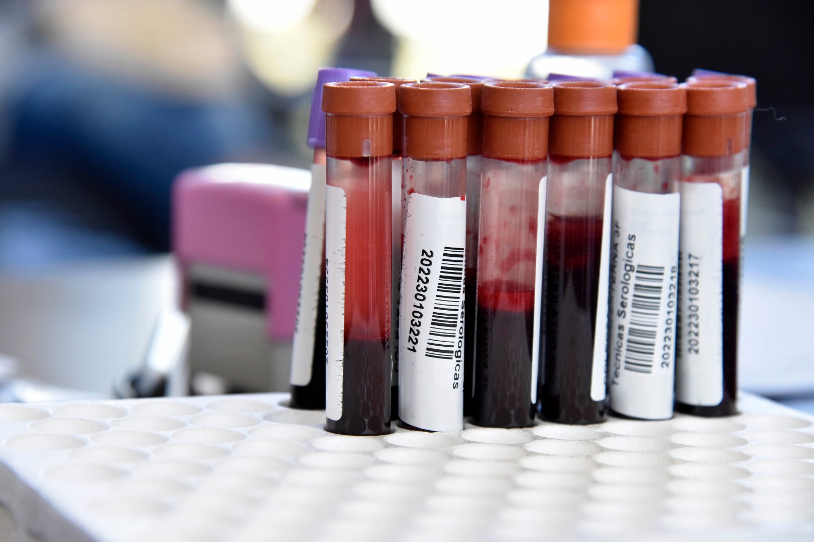 donacion sangre 1 MSN