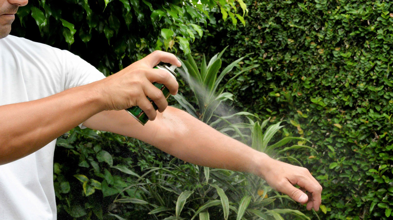 como evitar las picaduras de mosquitos destacada 21 2 25