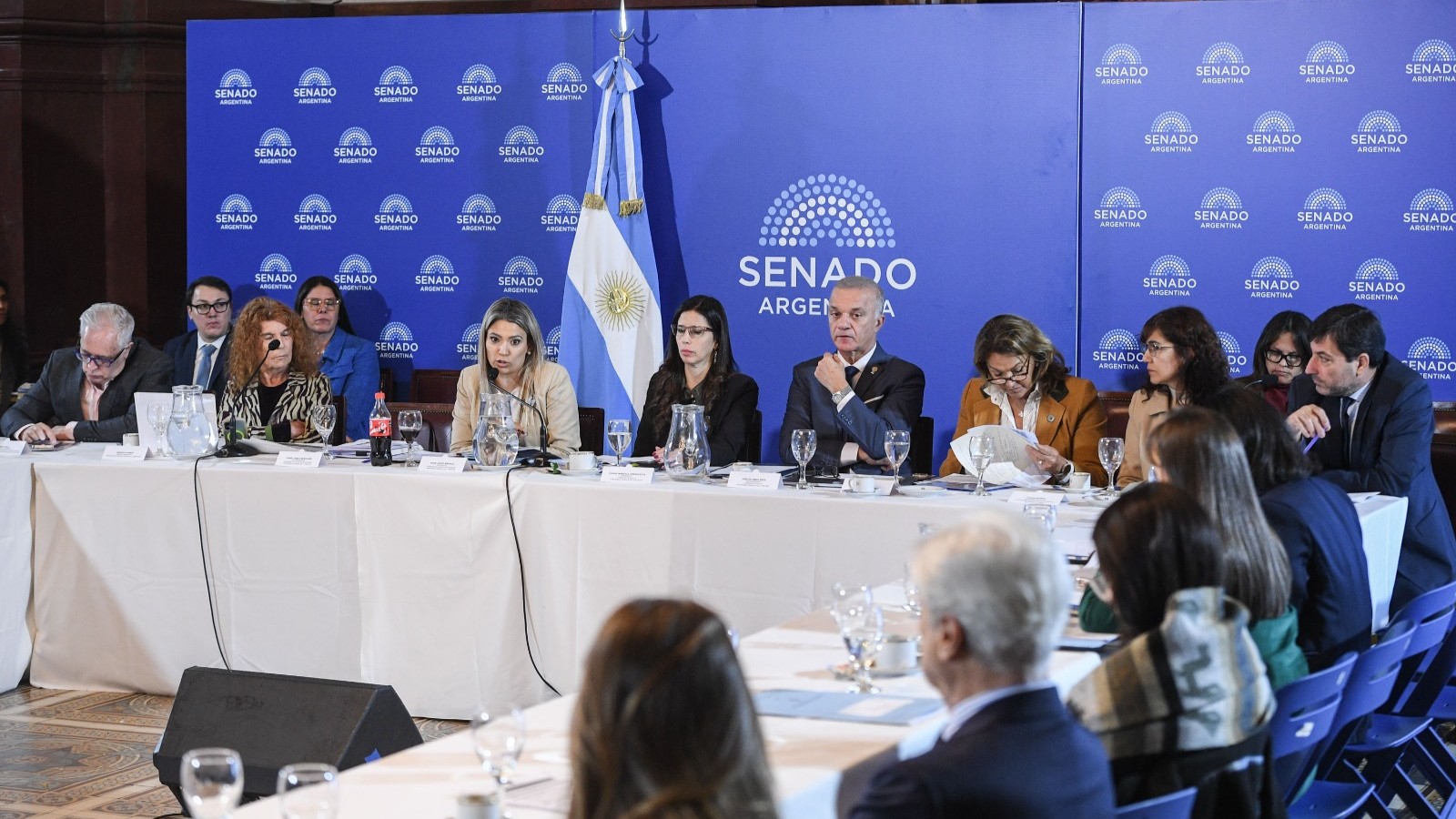 senado salud mental 01 21 5 26