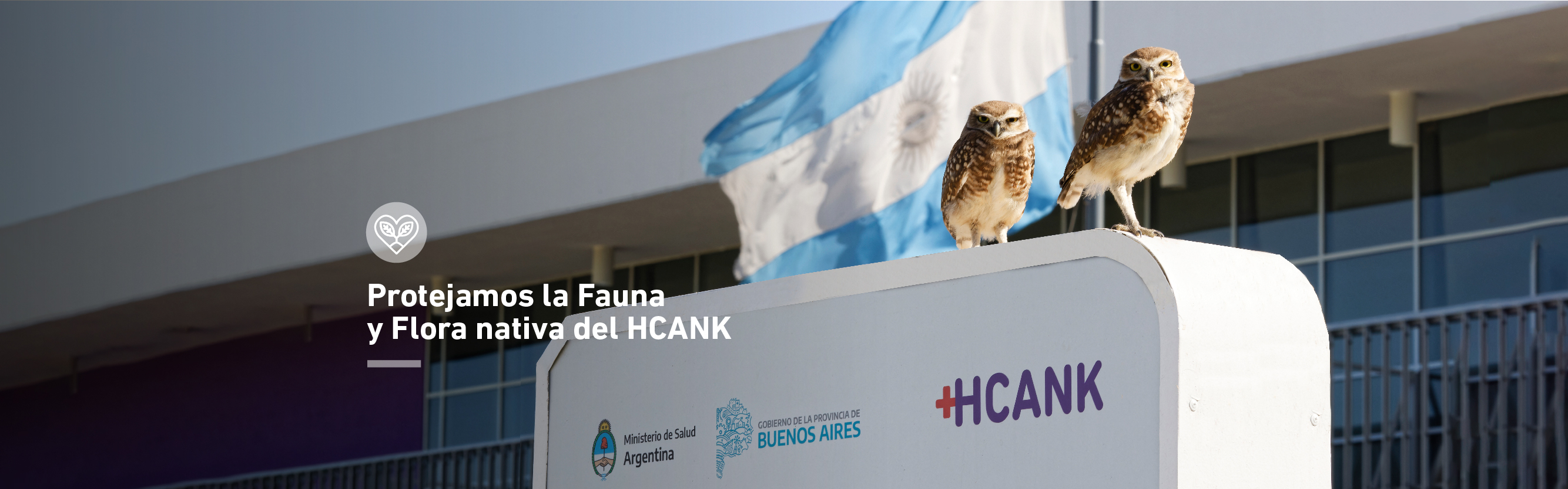 Fauna y flora