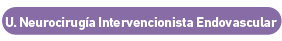 web botones neurocirugia intervencionista endovascular