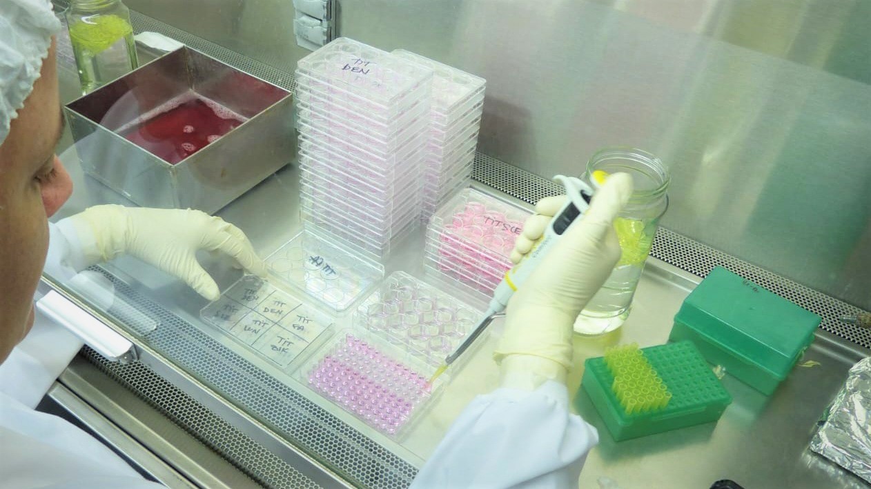 Salud recuerda la importancia de la notificación y diagnóstico por laboratorio de casos sospechosos de dengue