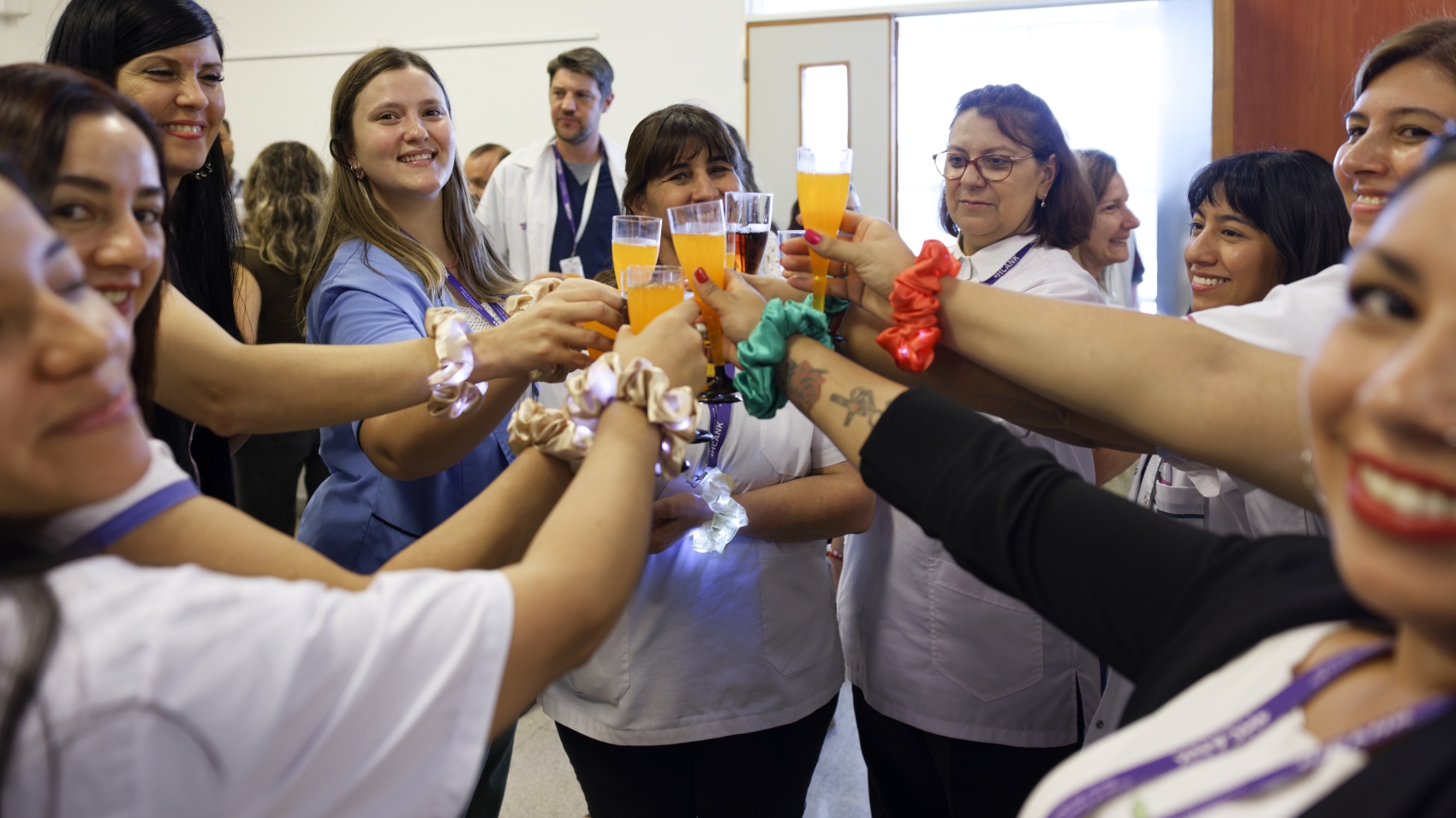 brindis 6