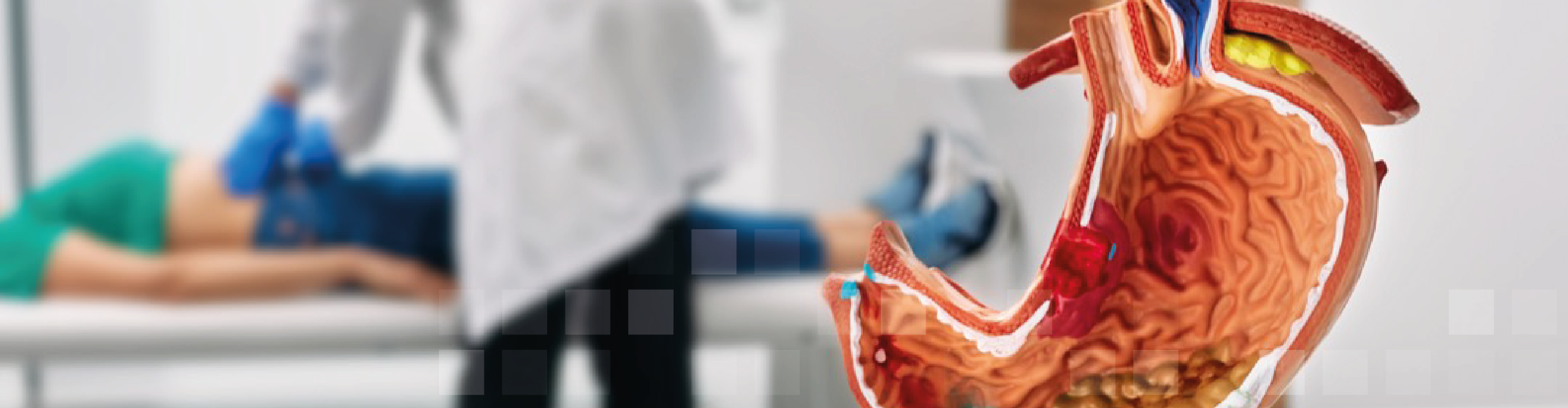Gastroenterologia